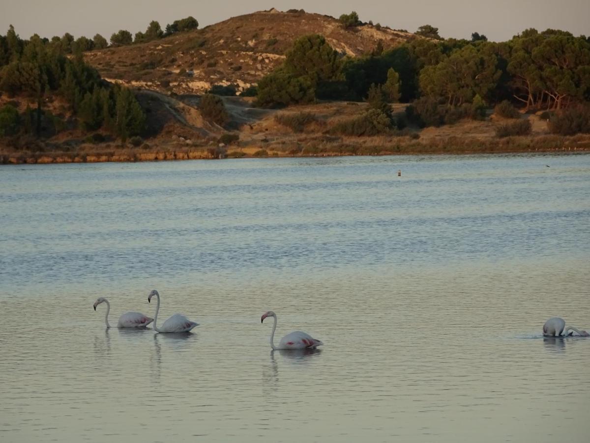شقة Domaine Du Petit Tournebelle جرْويسا المظهر الخارجي الصورة